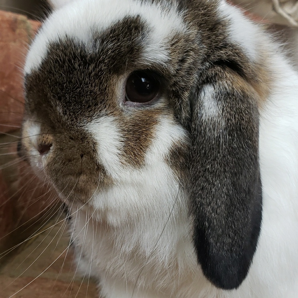 Meet your Posher, Sara